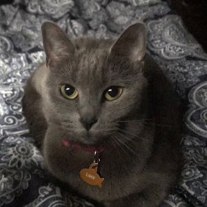 Meet your Posher, Annie